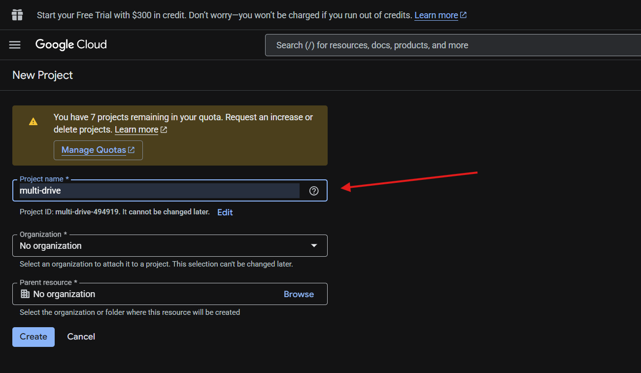 Enter project name and create project